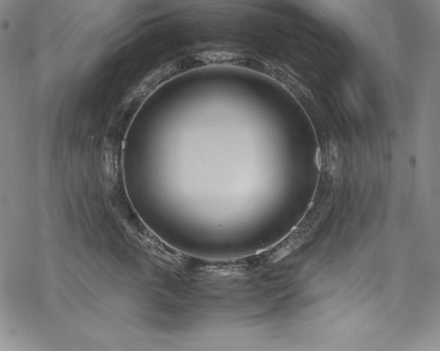 X0000069390763200605121211