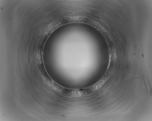 X0000069390764200605121211