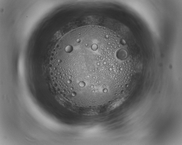 X0000069390765200605121211