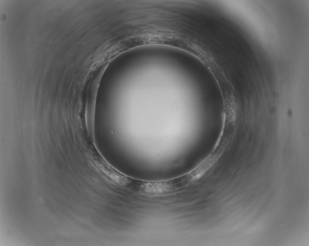 X0000069390766200605121211