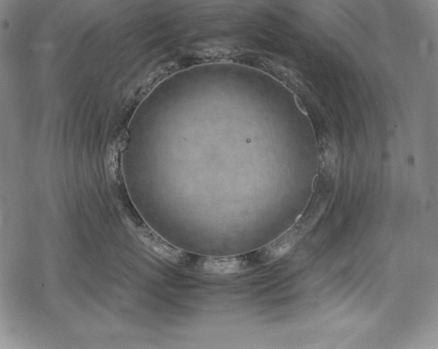 X0000069390767200605121211