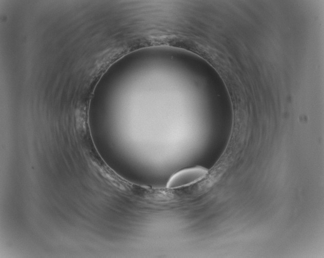 X0000069390768200605121211