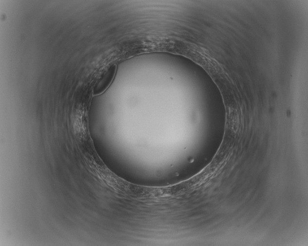 X0000069390770200605121210