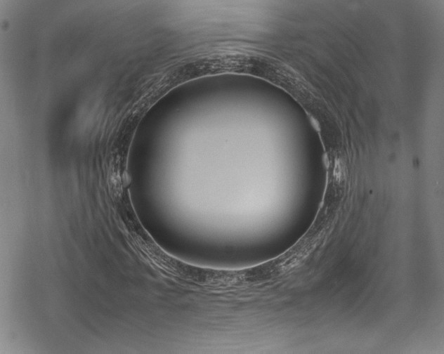 X0000069390771200605121210