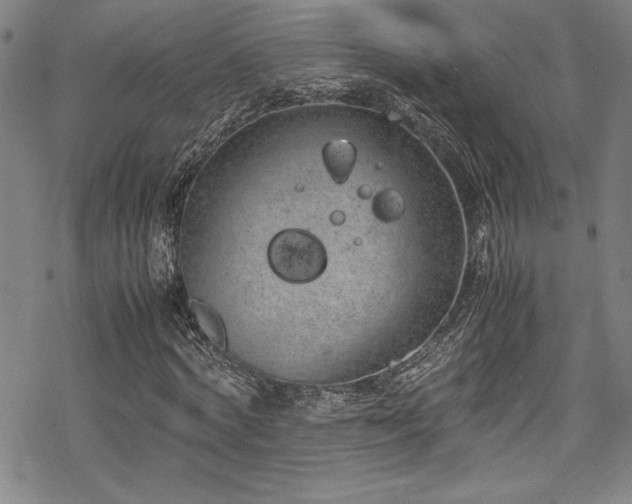 X0000069390772200605121210