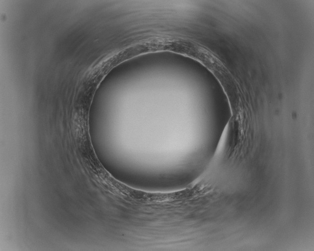 X0000069390773200605121210