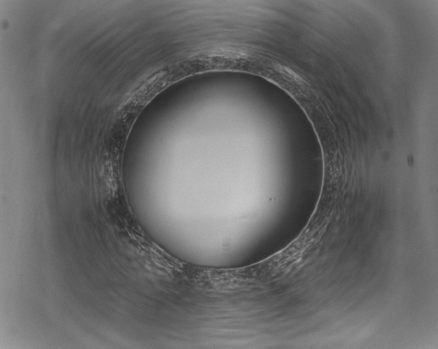 X0000069390774200605121210