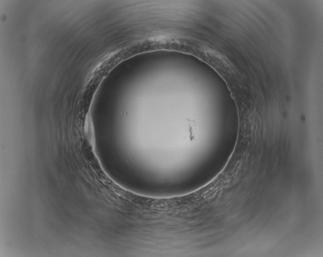 X0000069390776200605121210