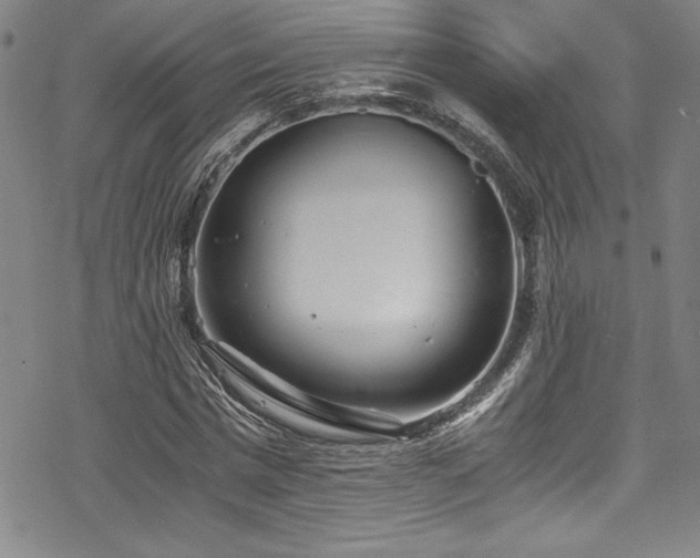 X0000069390777200605121210