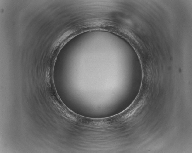 X0000069390778200605121210