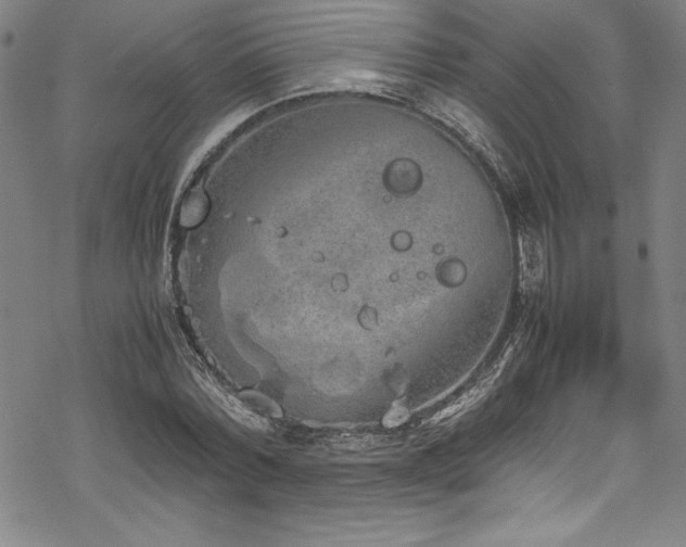 X0000069390780200605121210