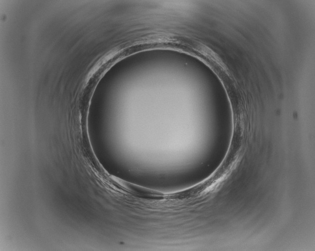 X0000069390781200605121210