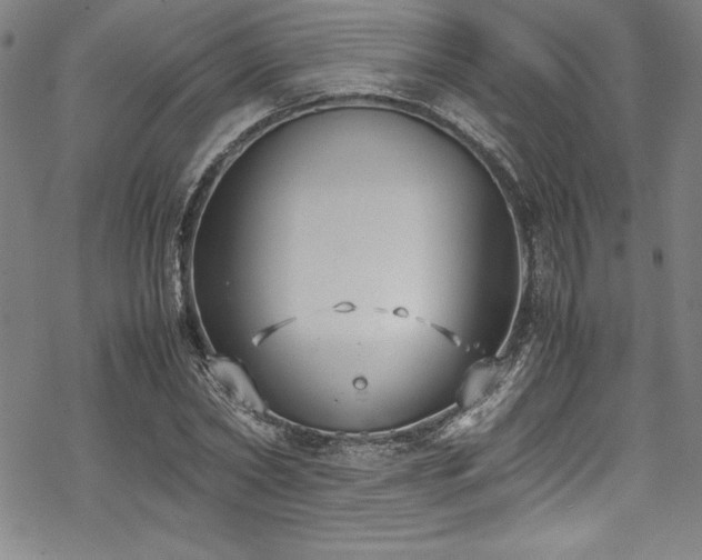 X0000069390782200605121210