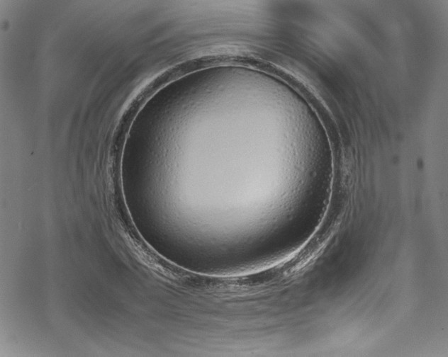 X0000069390783200605121210