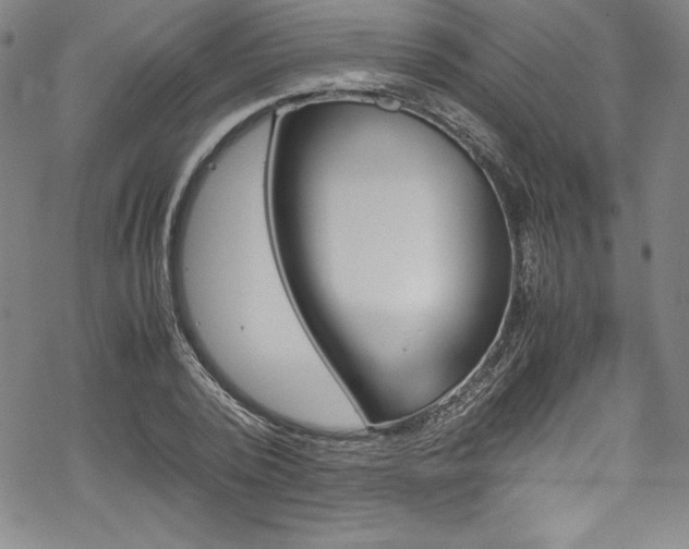 X0000069390784200605121210