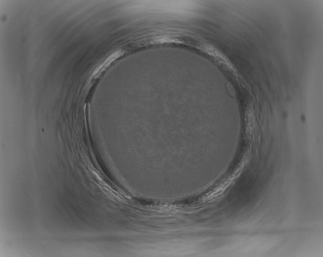 X0000069390785200605121210