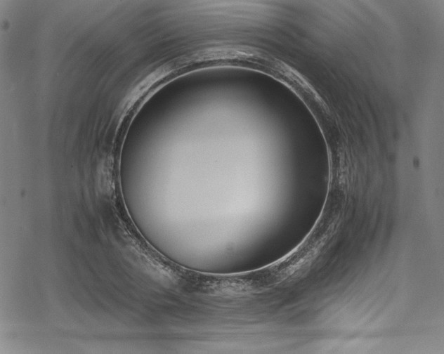 X0000069390786200605121210