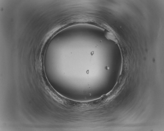 X0000069390787200605121210