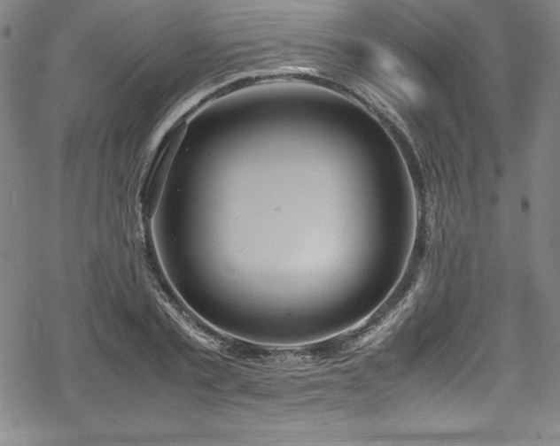 X0000069390789200605121210