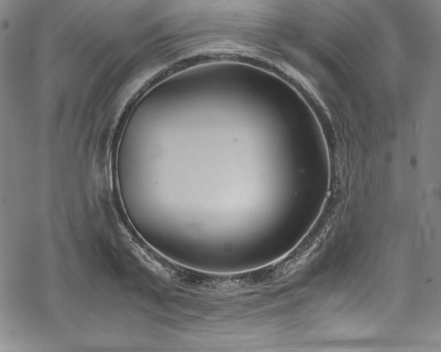 X0000069390791200605121210