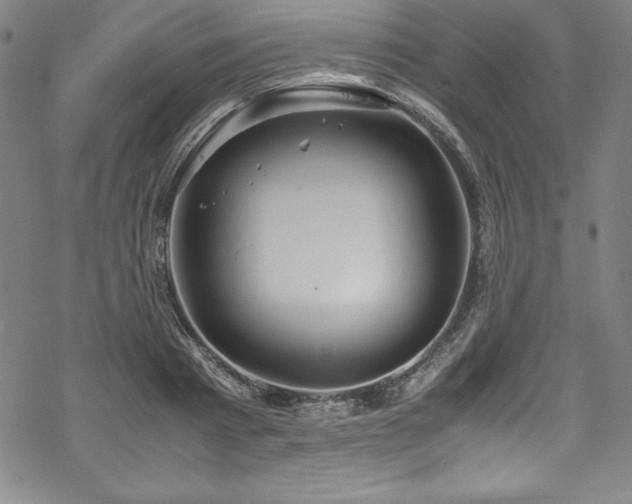 X0000069390793200605121210