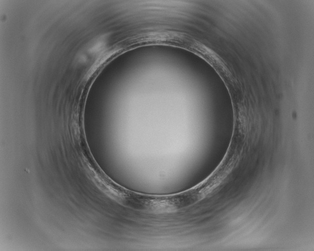 X0000069390794200605121210