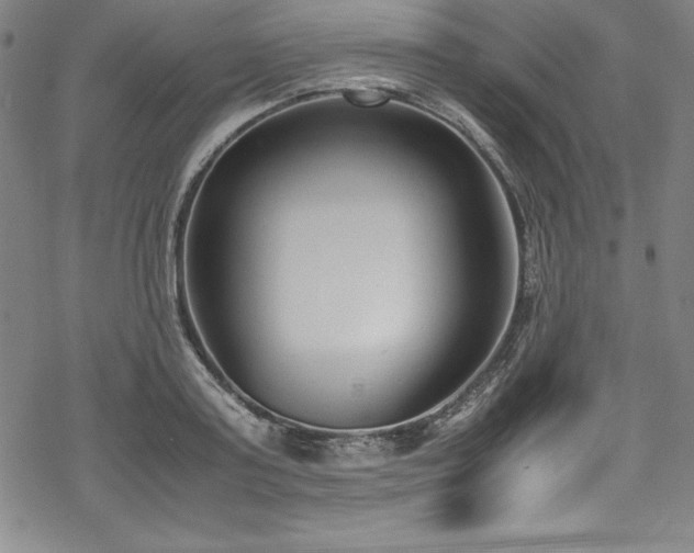 X0000069390795200605121210