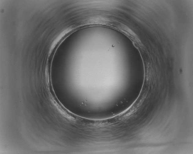 X0000069390796200605121210