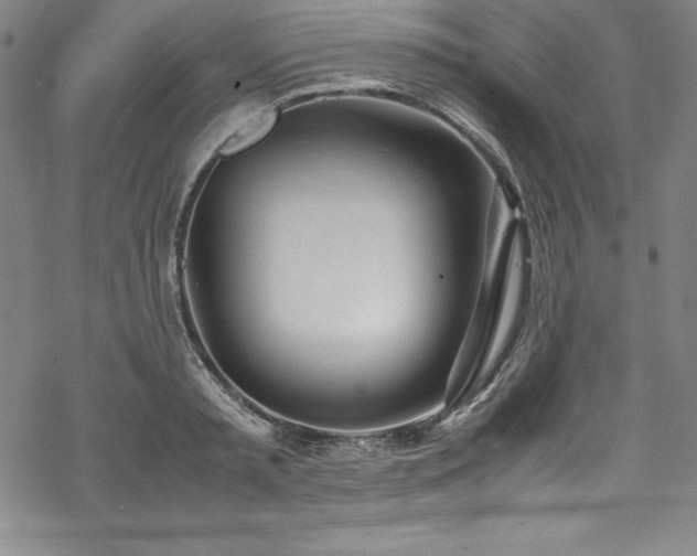 X0000069390797200605121210