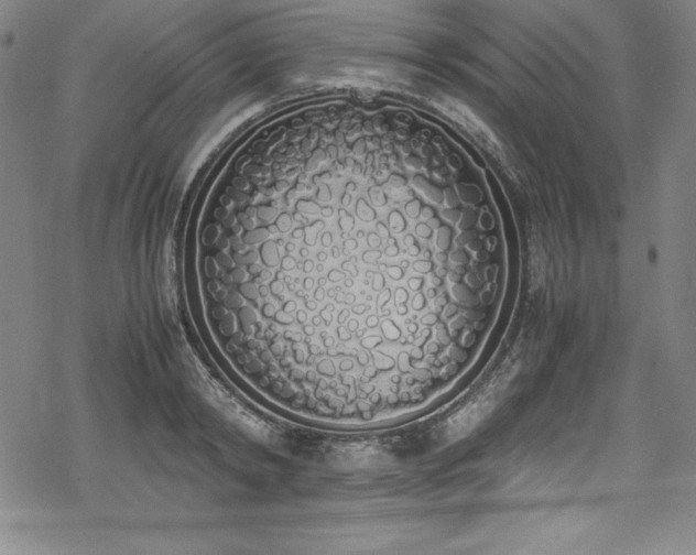 X0000069390798200605121210