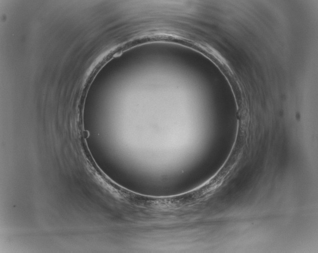 X0000069390799200605121210