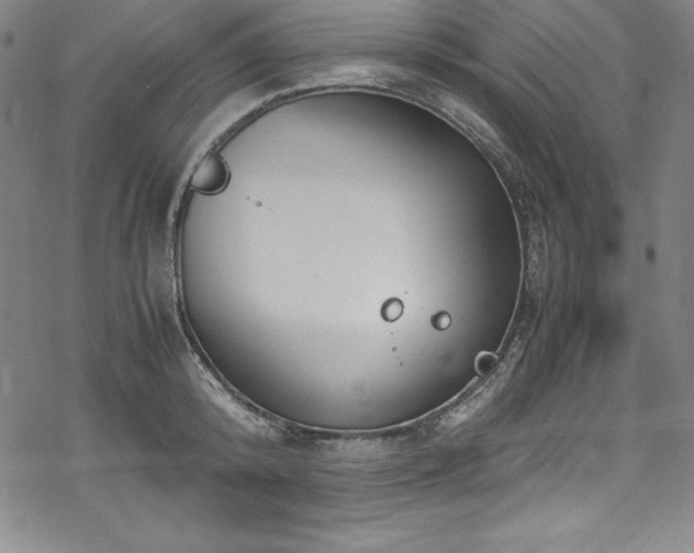 X0000069390800200605121210