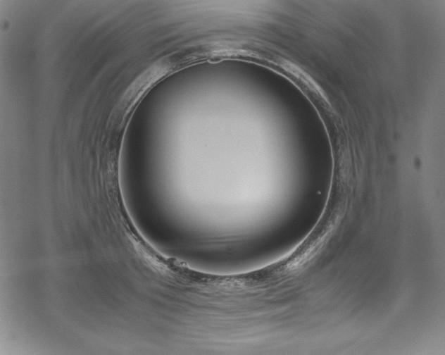 X0000069390801200605121210