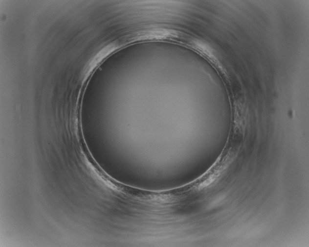 X0000069390802200605121210