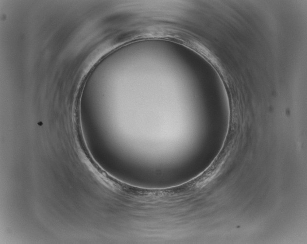 X0000069390803200605121210