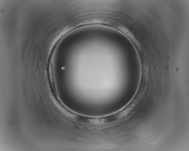 X0000069390805200605121210