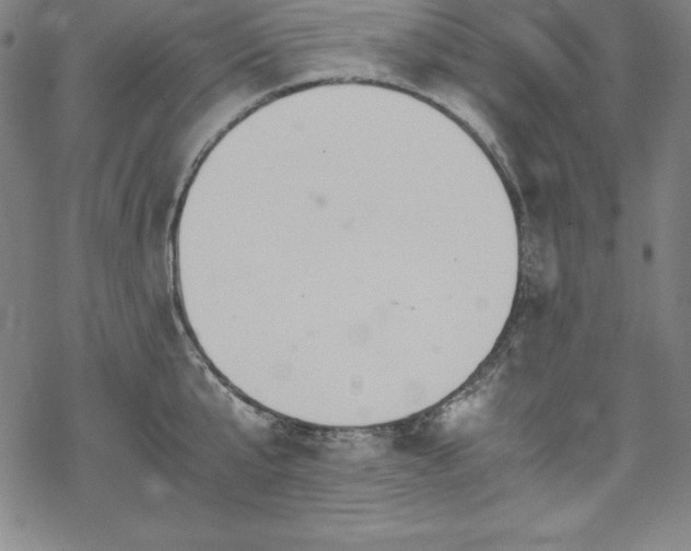 X0000069390807200605121209