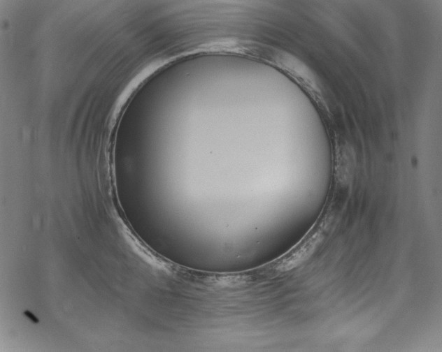 X0000069390808200605121209