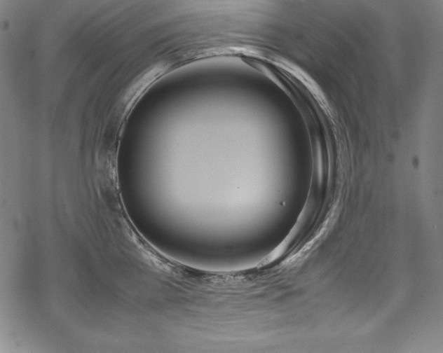 X0000069390809200605121209