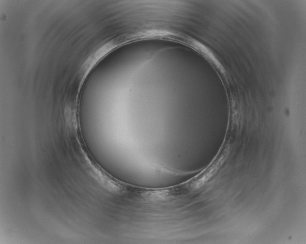 X0000069390810200605121209