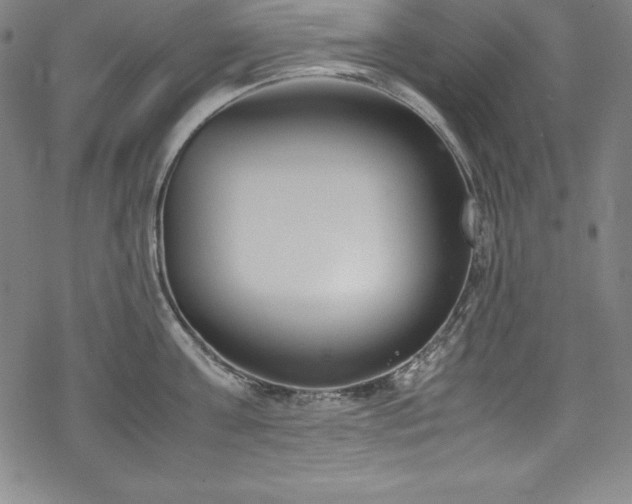 X0000069390811200605121209