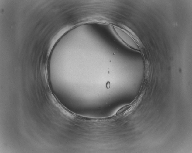 X0000069390812200605121209