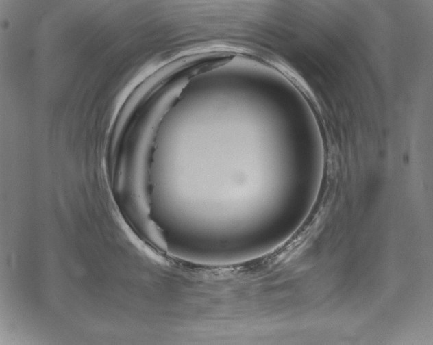 X0000069390813200605121209