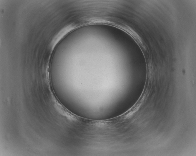 X0000069390814200605121209