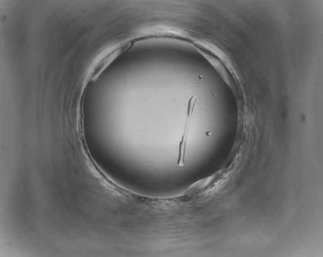 X0000069390815200605121209