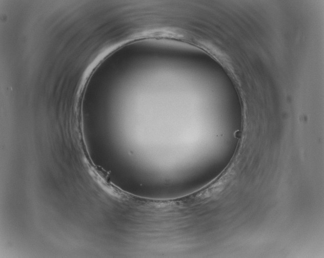 X0000069390816200605121209