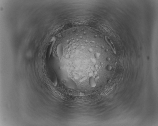 X0000069390817200605121209