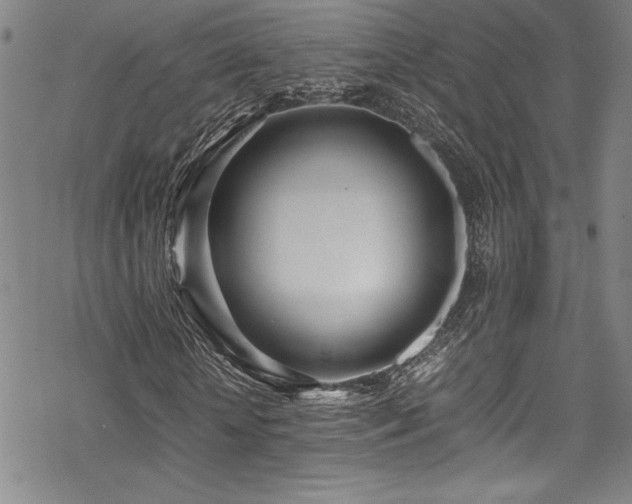 X0000069390818200605121209