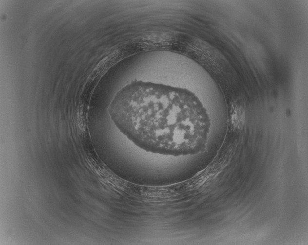 X0000069390819200605121209