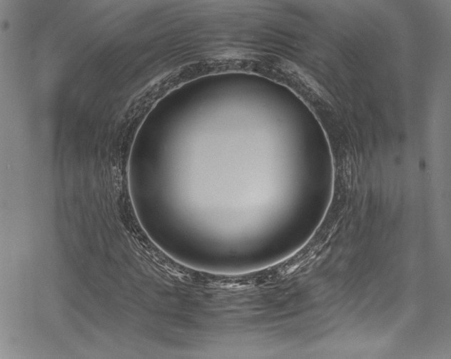 X0000069390821200605121209